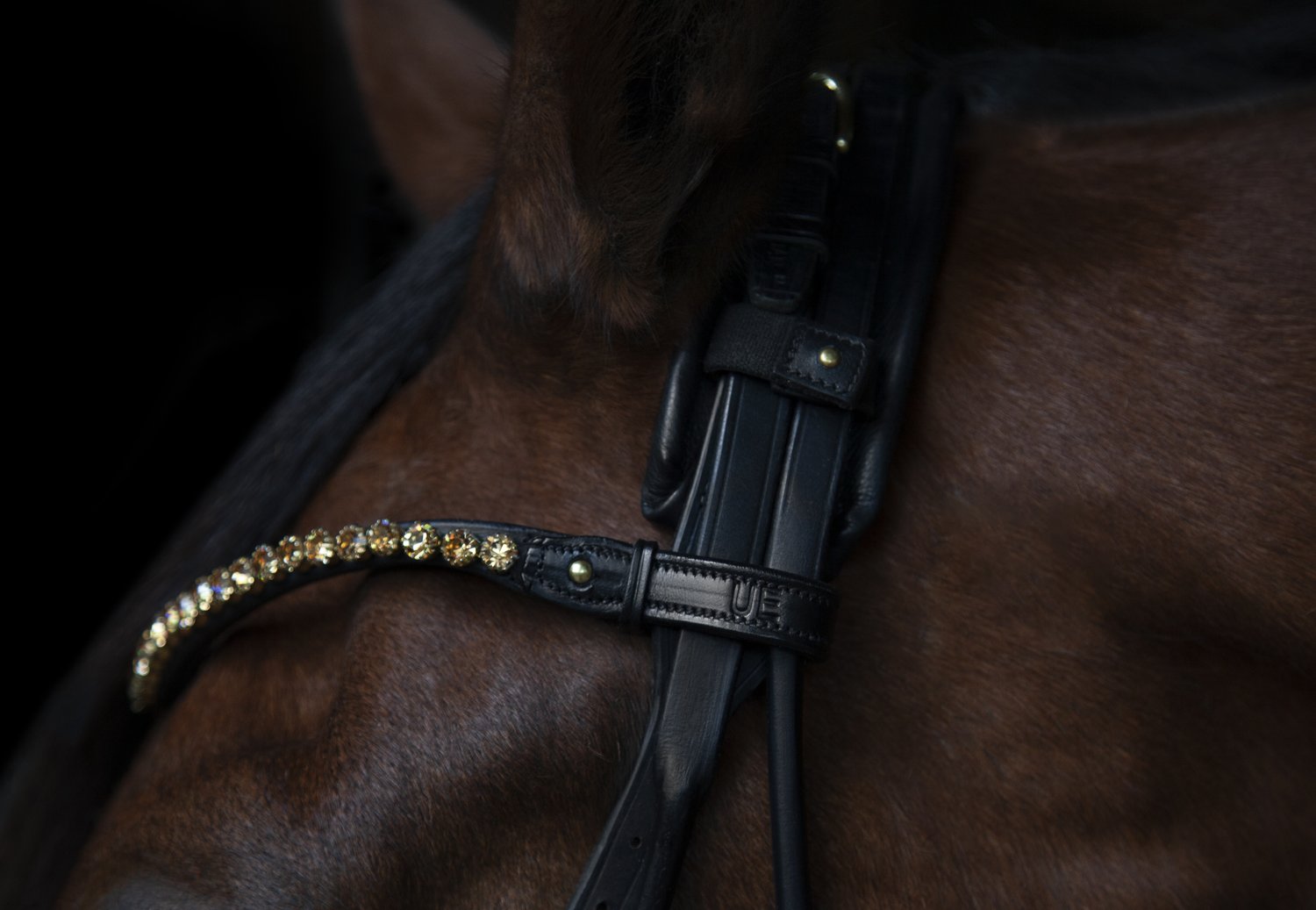 Elegant Browband, gold