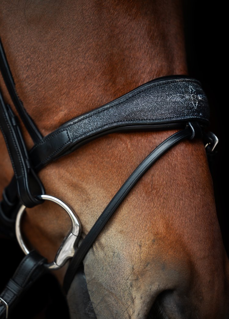 Oxford Bridle, Limited edition
