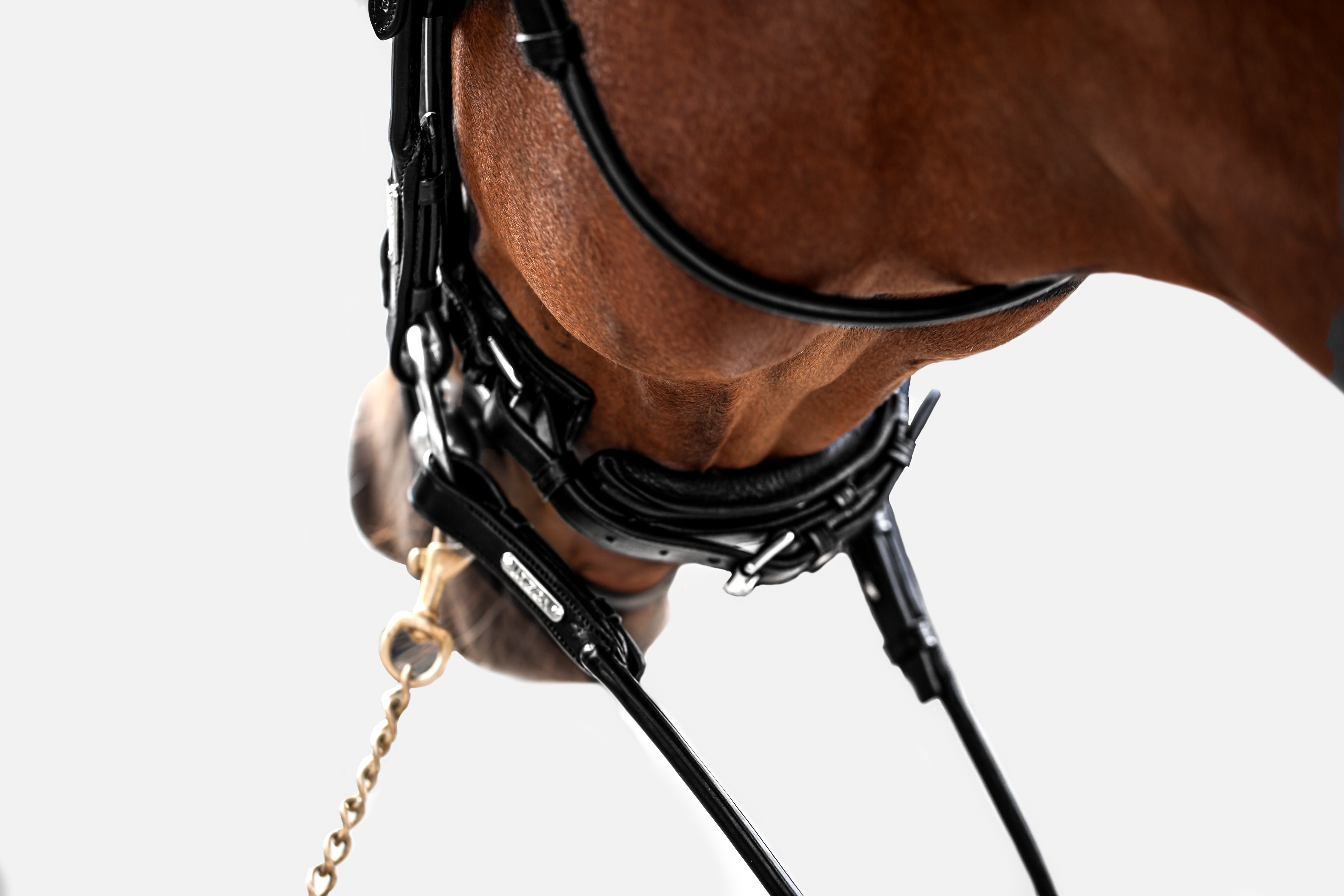 Copenhagen Bridle