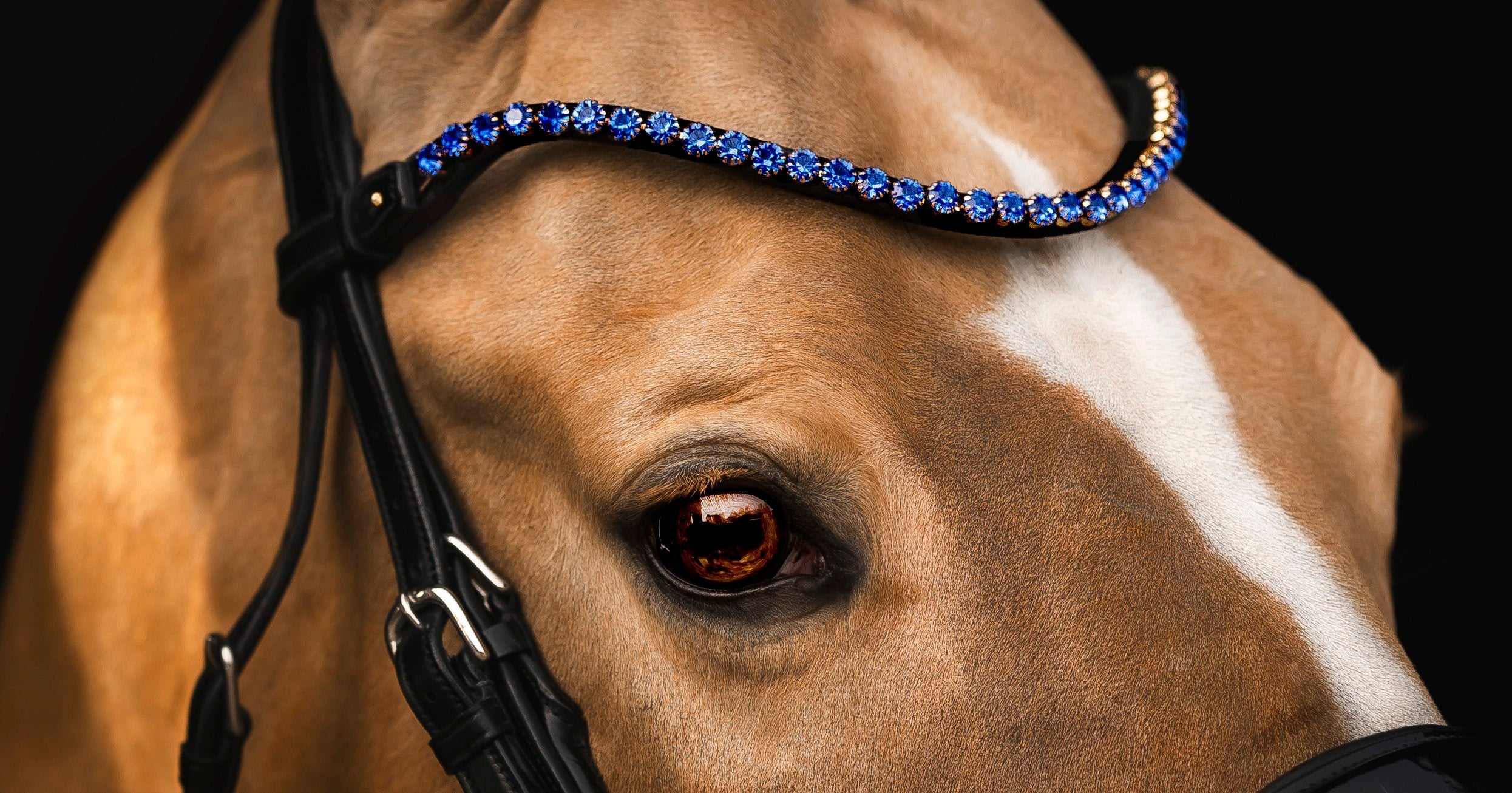 Elegant Browband, sapphire