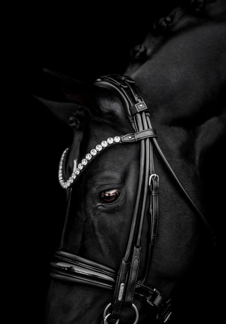 Edinburgh Double Bridle, Crystal Edition