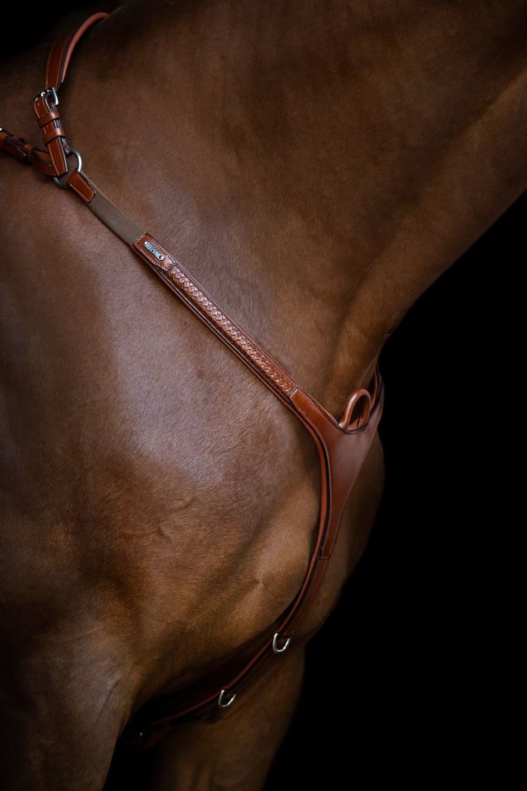 Grand Prix breastplate