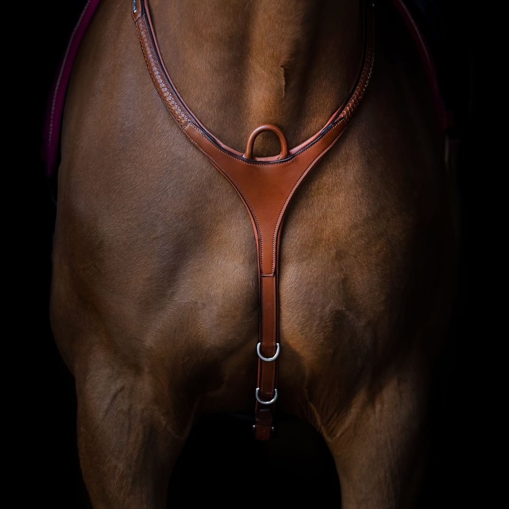 Grand Prix breastplate