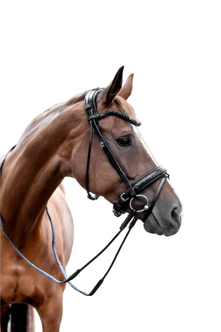 Olympic Bridle