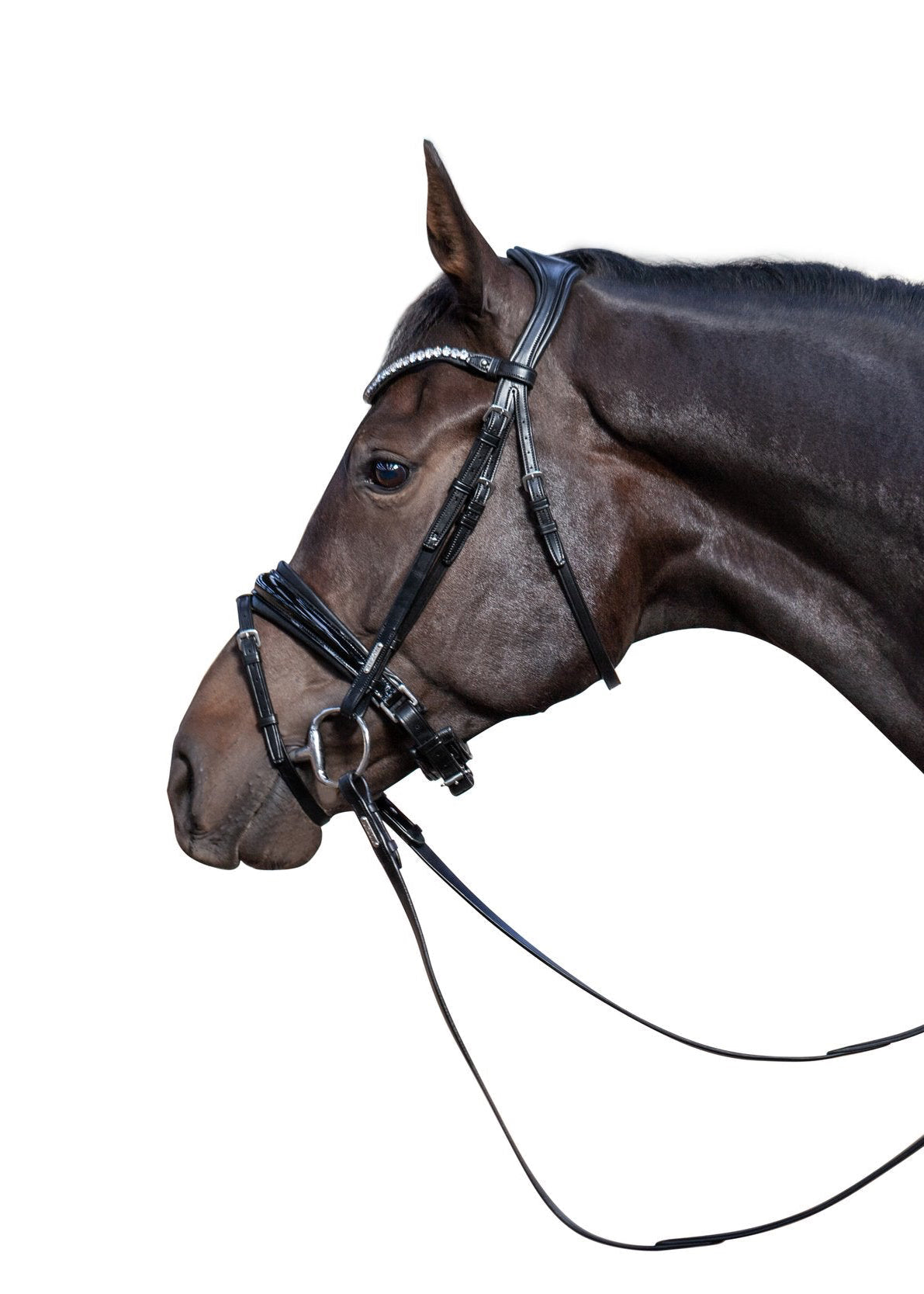 Essentials Bridle