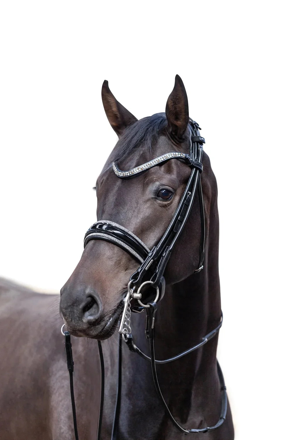 Miami Double Bridle, Grey crystals