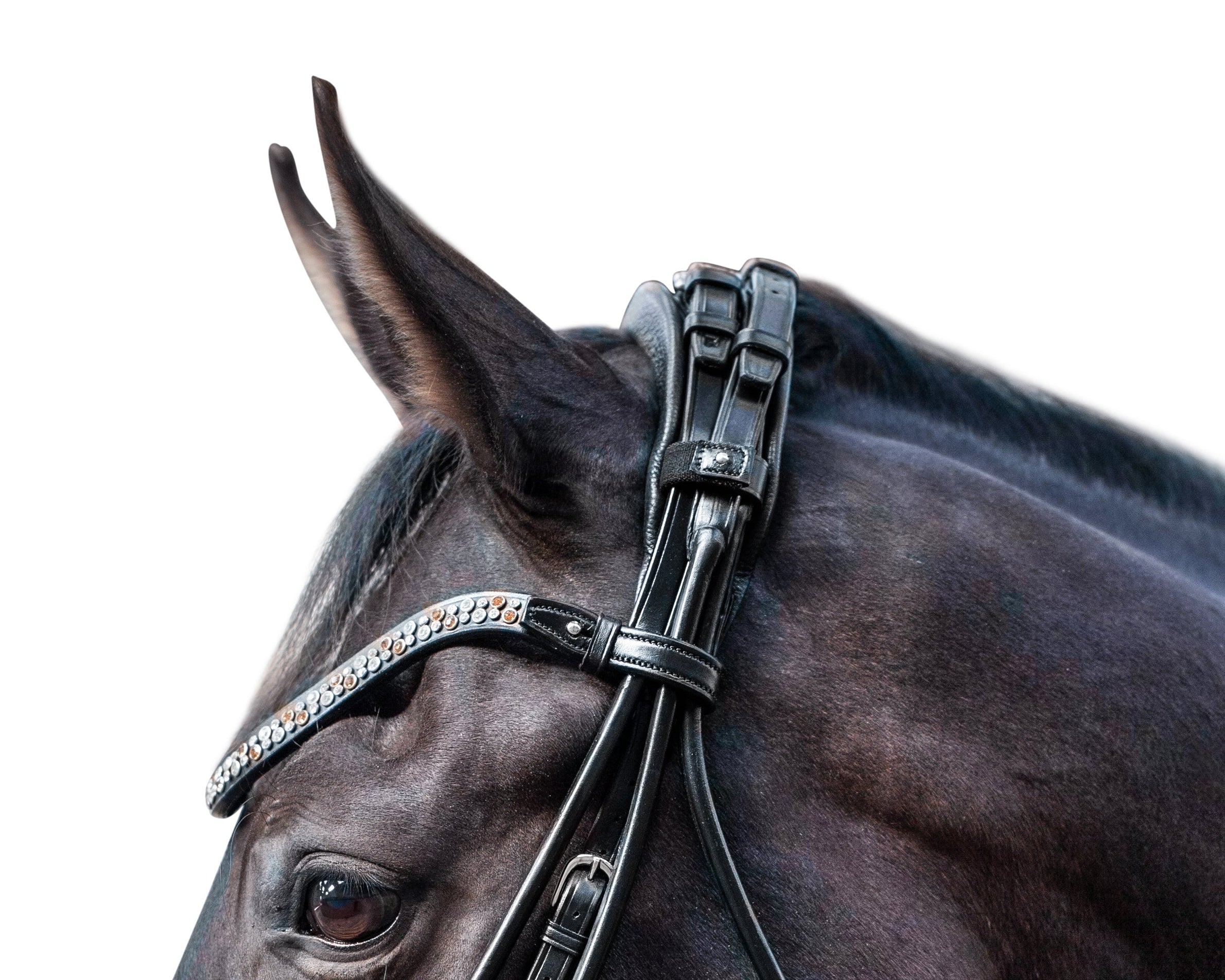 Miami Double Bridle, Grey crystals