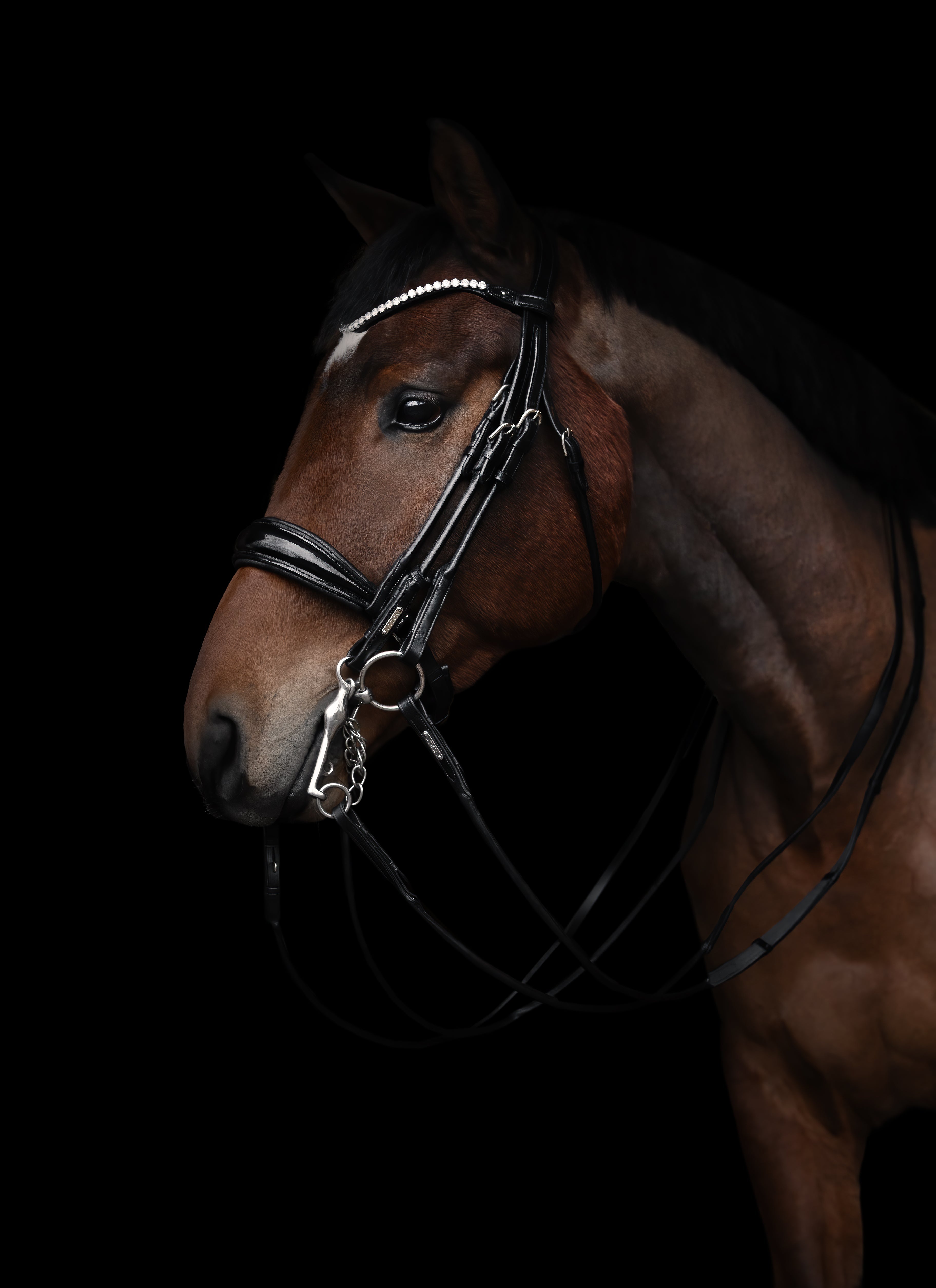 Copenhagen Double Bridle