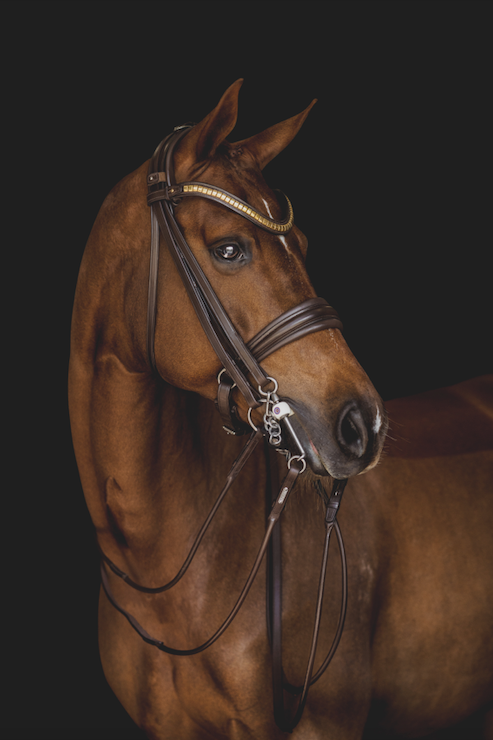 London Double Bridle