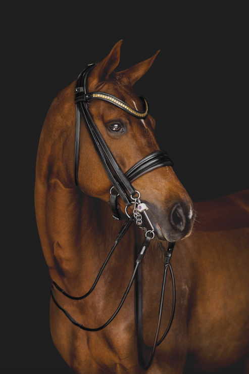 London Double Bridle
