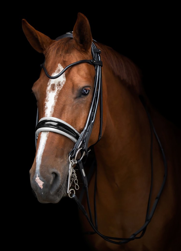 Edinburgh Double Bridle