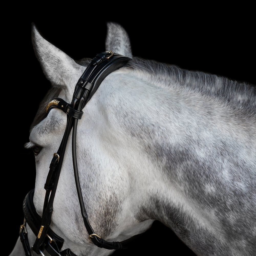 Olympic Bridle