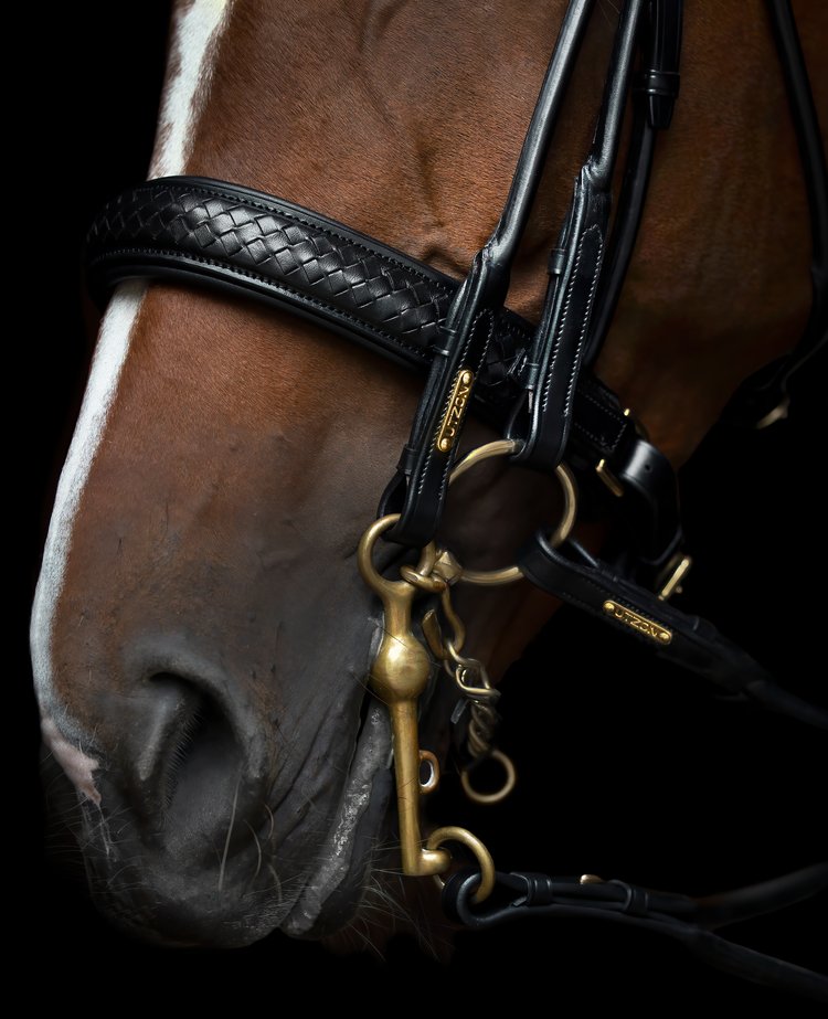 Olympic Double Bridle