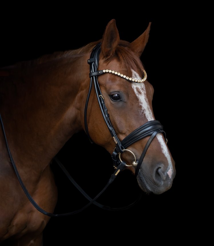Edinburgh Bridle, Matte Noseband