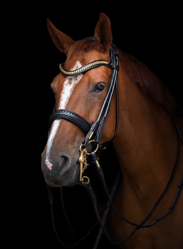 Olympic Double Bridle