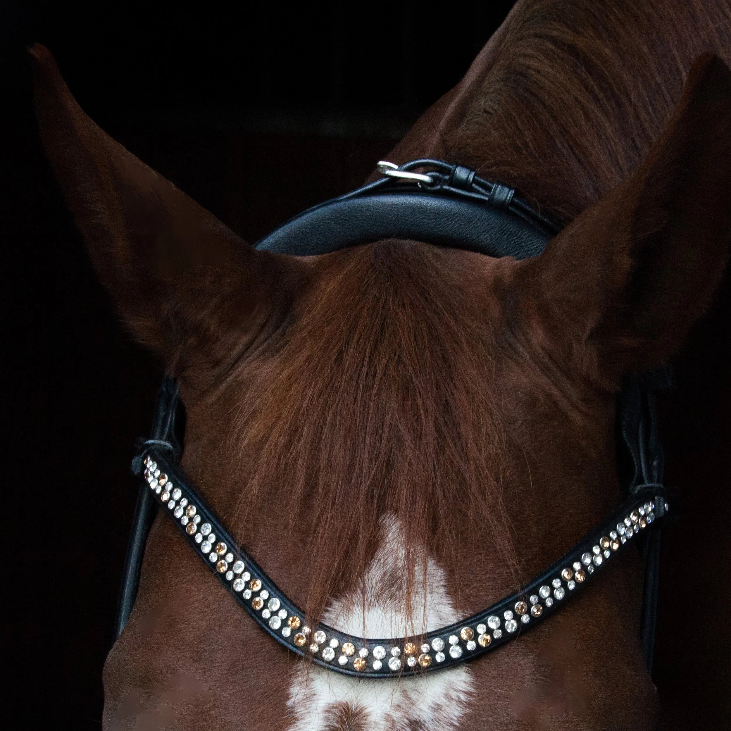 Miami Bridle, Grey crystals