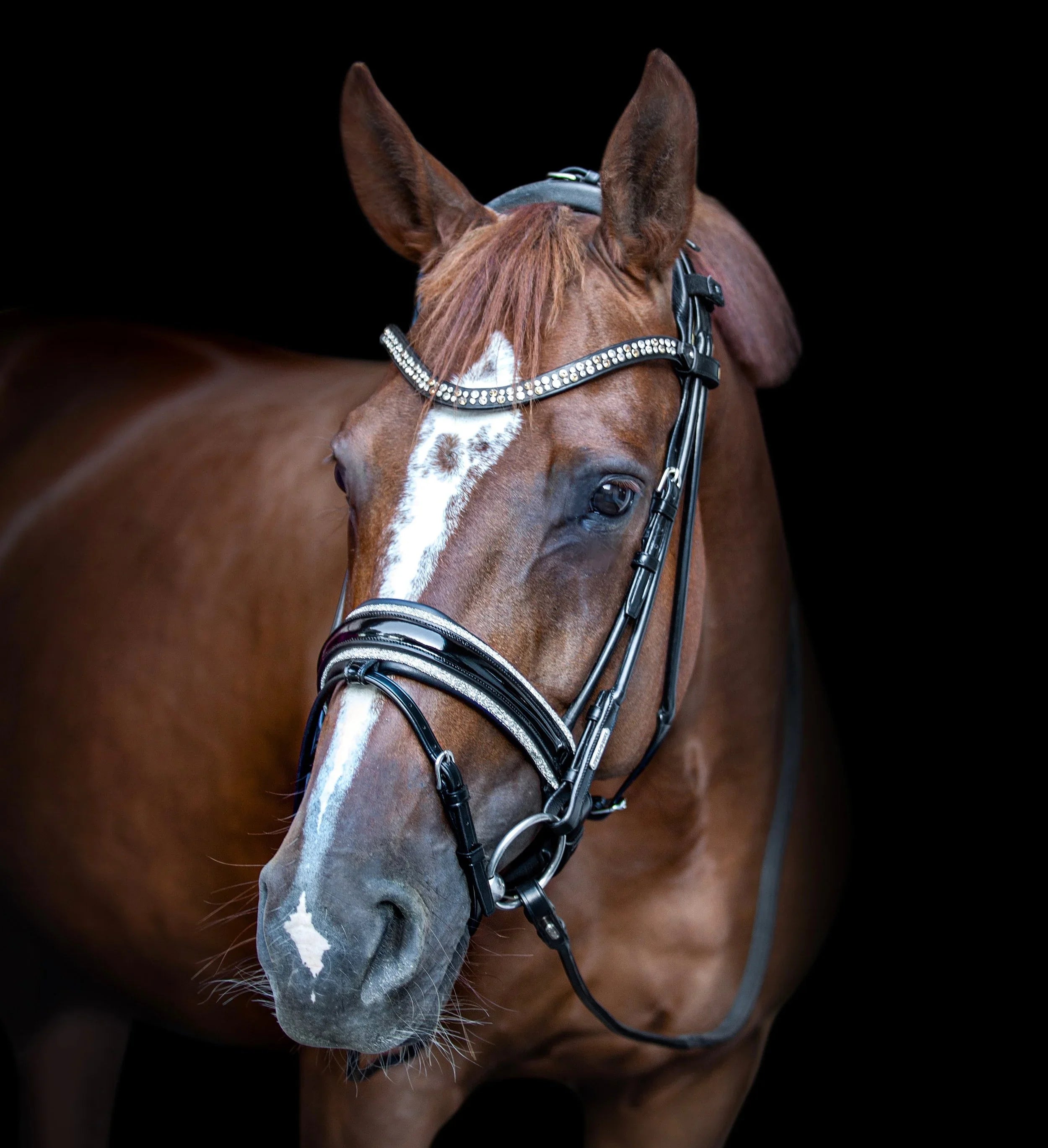 Miami Bridle, Grey crystals